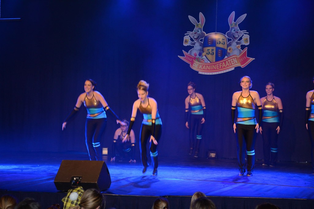 ../Images/Dansmarieke festival 2015 564.jpg